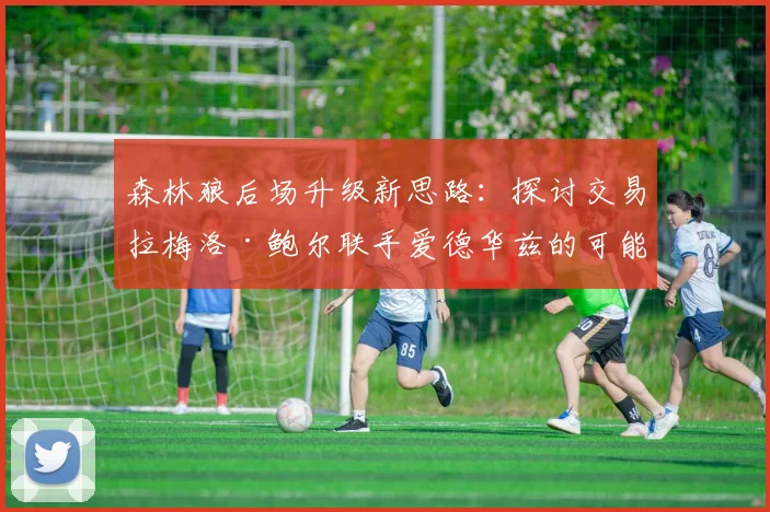 森林狼后场升级新思路：探讨交易拉梅洛·鲍尔联手爱德华兹的可能性与战术适配性