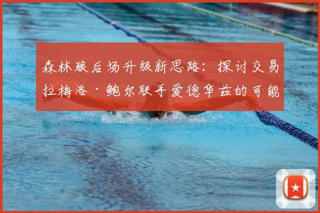 森林狼后场升级新思路:探讨交易拉梅洛·鲍尔联手爱德华兹的可能性与战术适配性